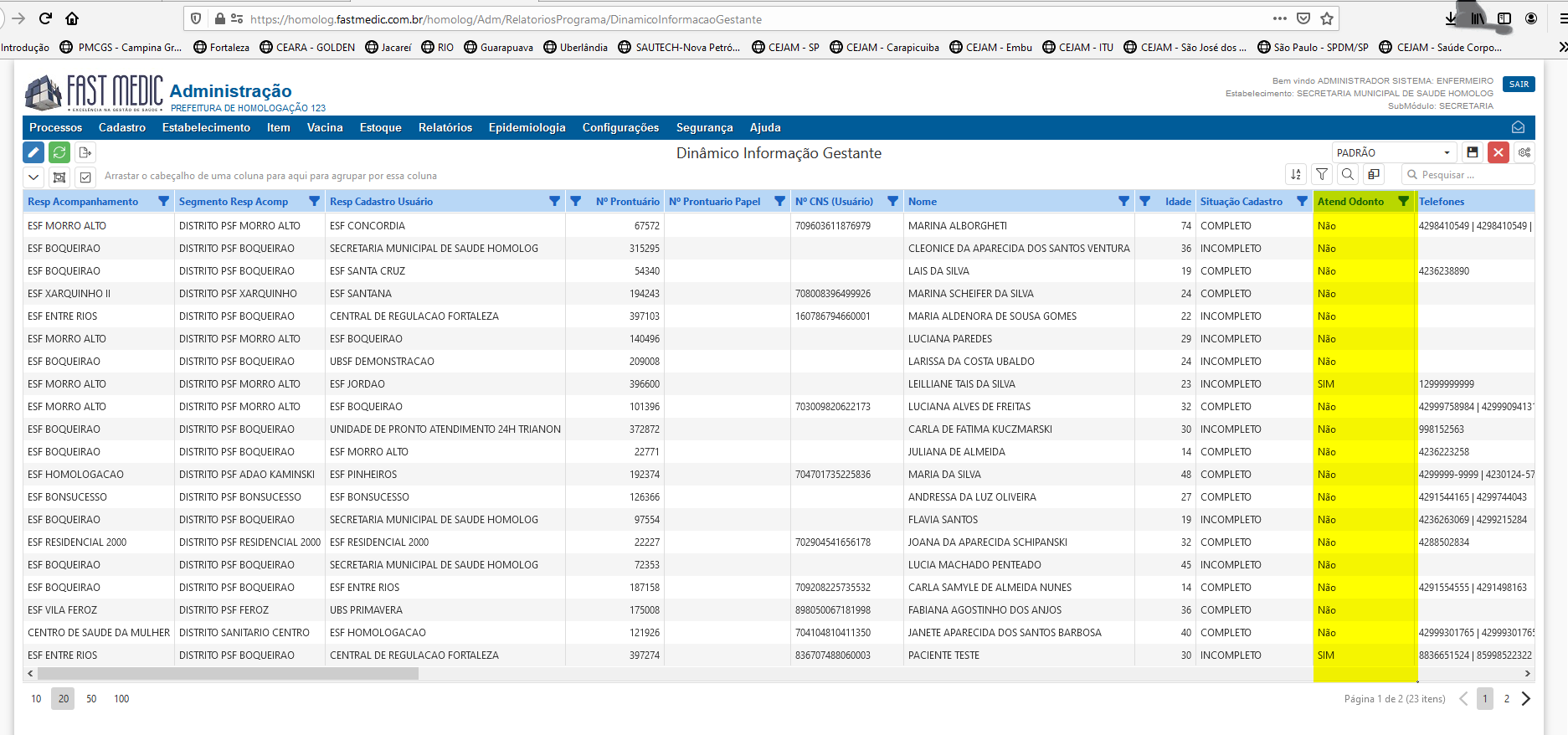Imagem demonstrativa da Informações das Gestantes coluna atendimento Odonto
